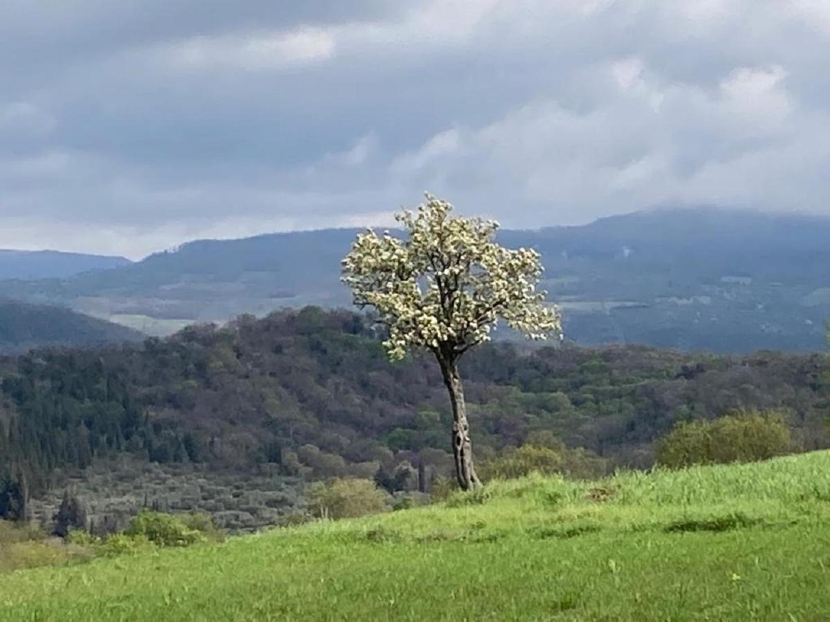 Bio Agriturismo Il Torrione Сатурния Экстерьер фото