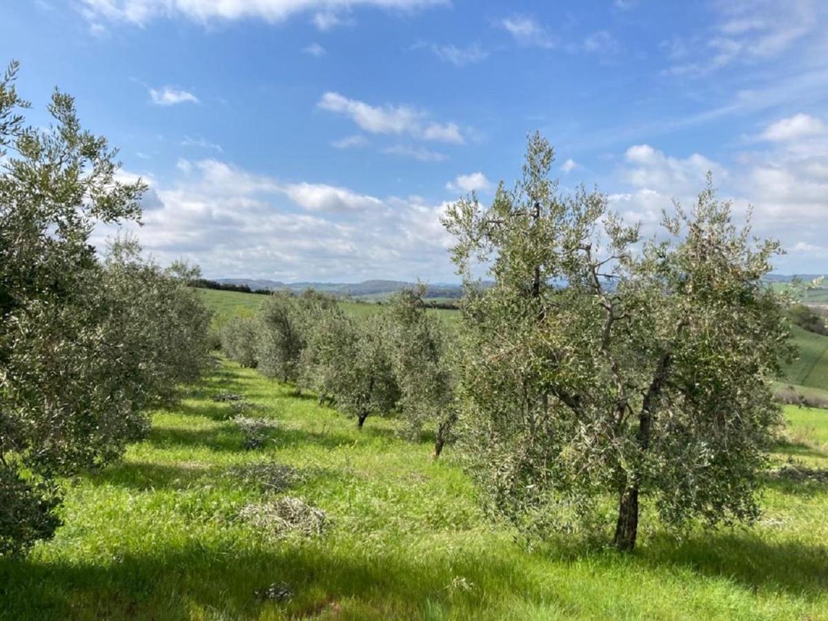 Bio Agriturismo Il Torrione Сатурния Экстерьер фото