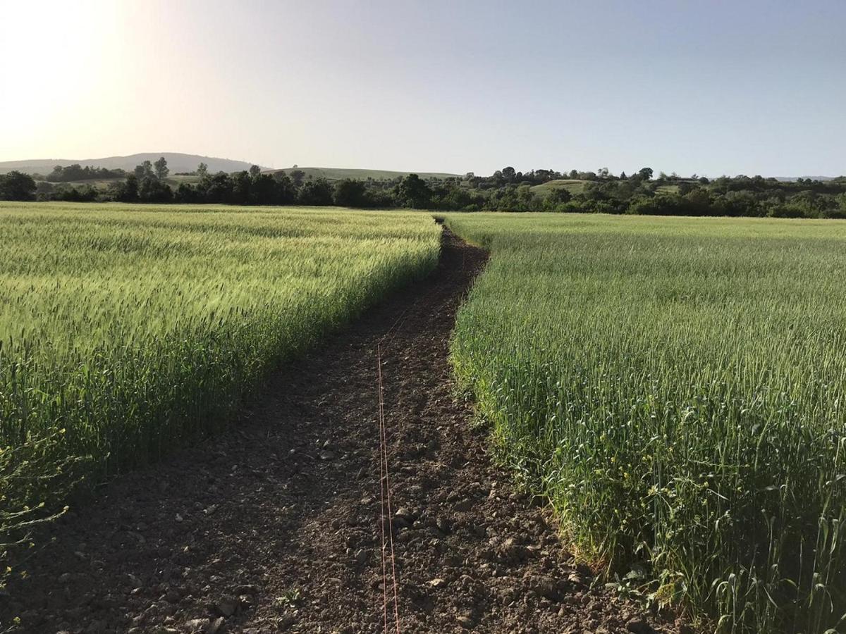 Bio Agriturismo Il Torrione Сатурния Экстерьер фото