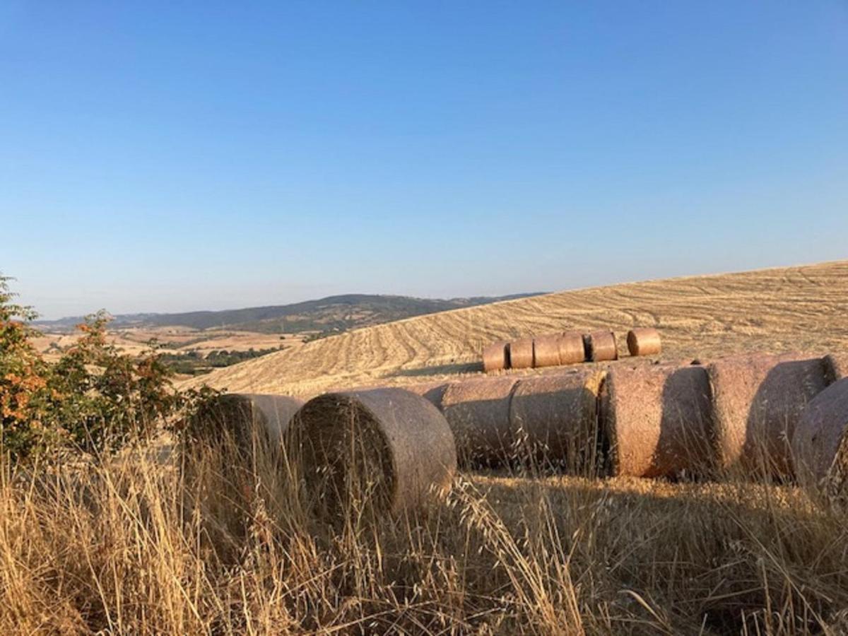 Bio Agriturismo Il Torrione Сатурния Экстерьер фото
